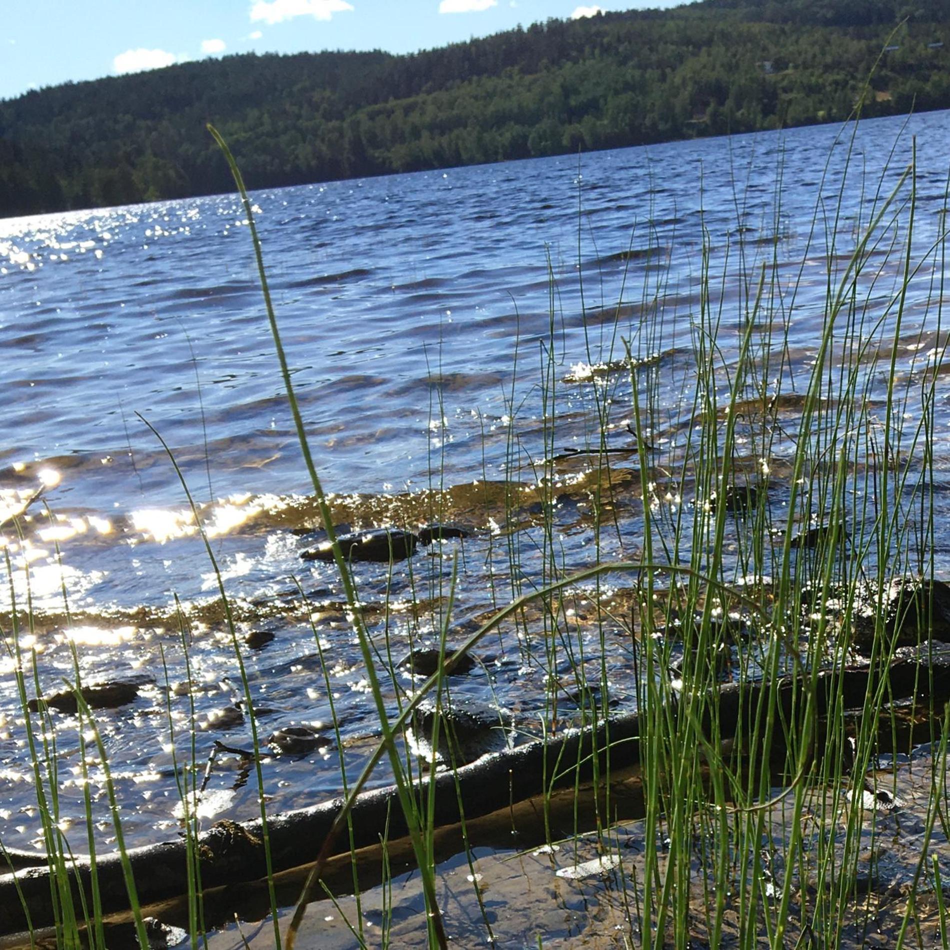 Henneviken Bnb Ed エクステリア 写真