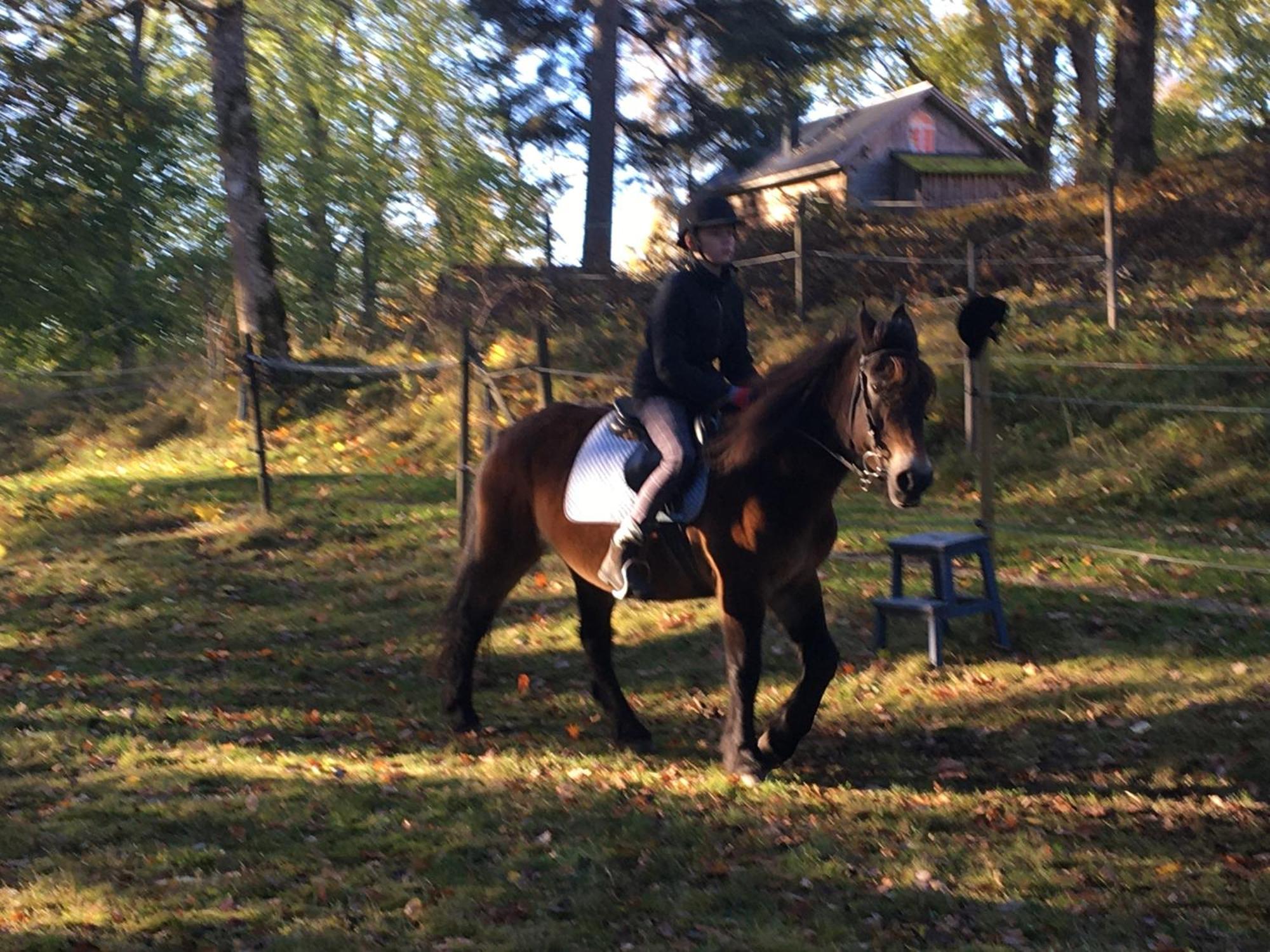 Henneviken Bnb Ed エクステリア 写真